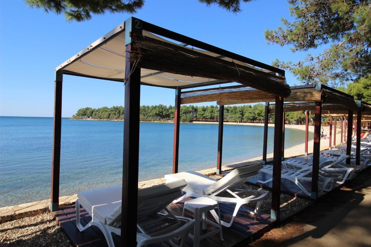 Apartament Irena A2 Novigrad  Zewnętrze zdjęcie