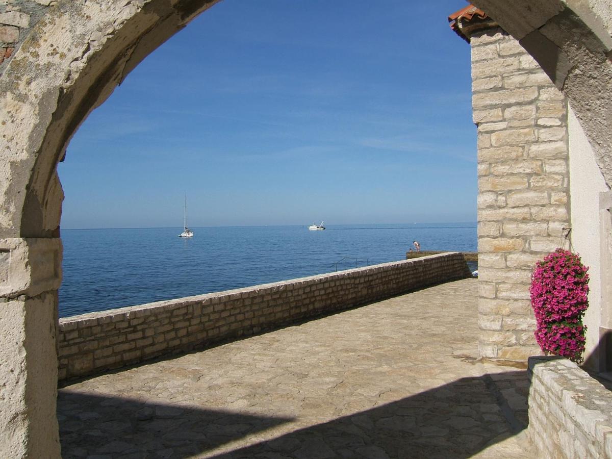 Apartament Irena A2 Novigrad  Zewnętrze zdjęcie