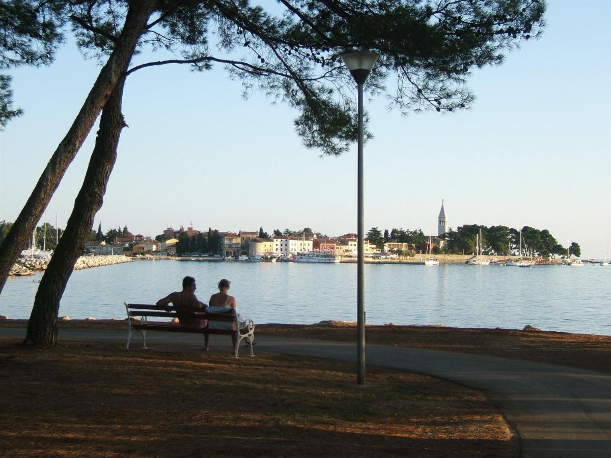 Apartament Irena A2 Novigrad  Zewnętrze zdjęcie