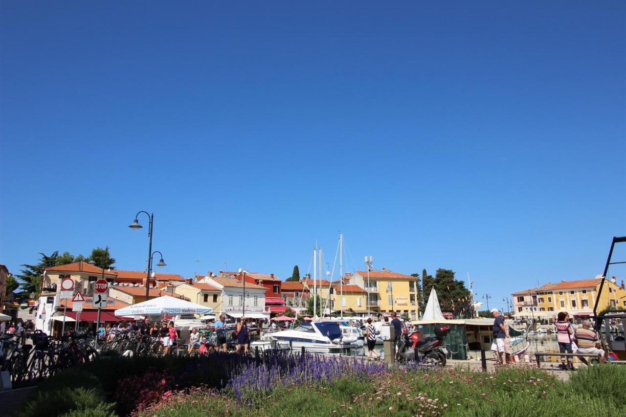 Apartament Irena A2 Novigrad  Zewnętrze zdjęcie