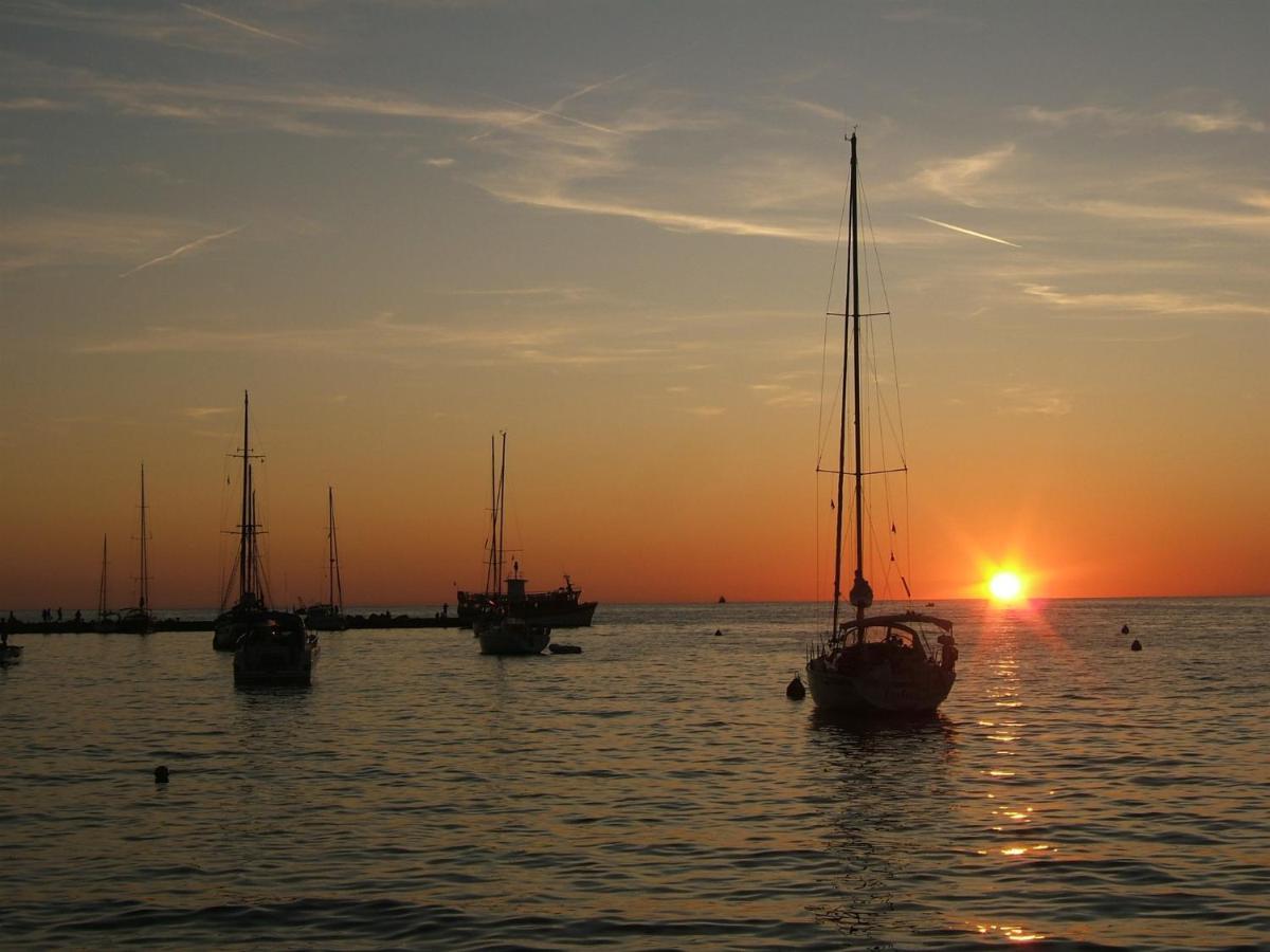 Apartament Irena A2 Novigrad  Zewnętrze zdjęcie
