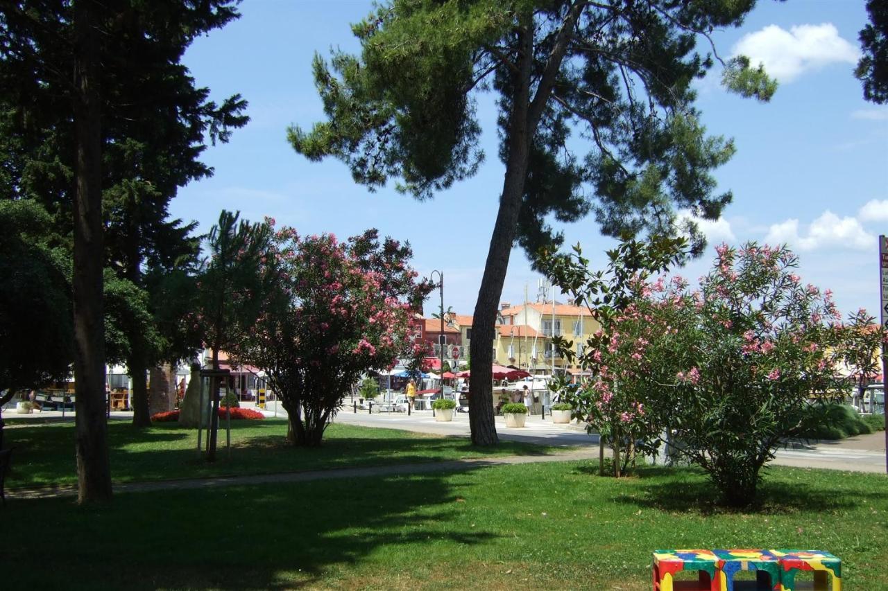 Apartament Irena A2 Novigrad  Zewnętrze zdjęcie